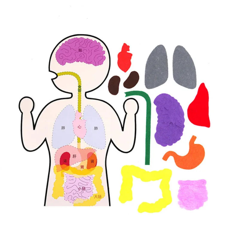 Montessori Lacing Toys – Animal Sewing Kit for Toddlers & Kids