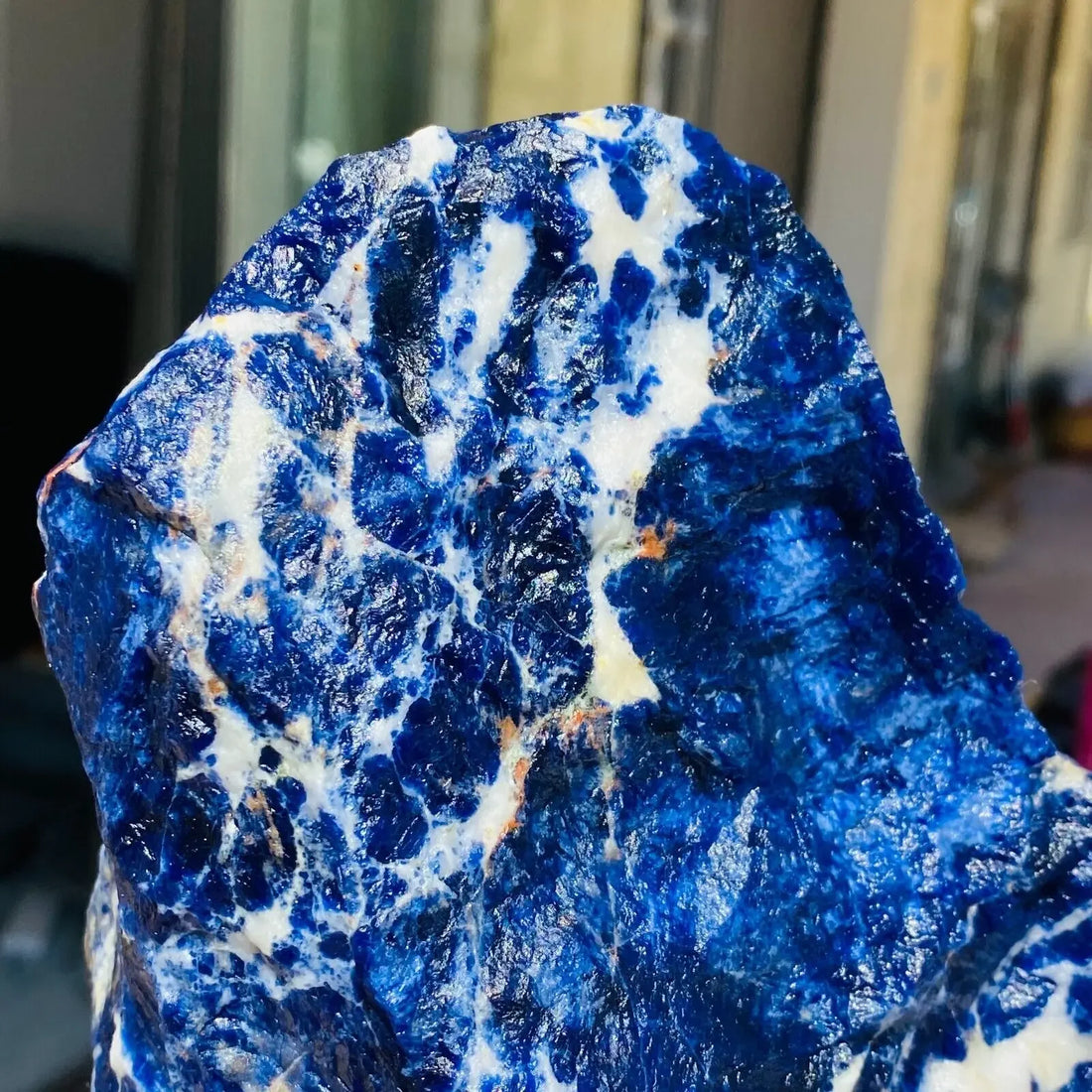 Natural Large Noble Dark Blue Sodalite Crystal Gemstone Rough Raw Rock Specimen Healing