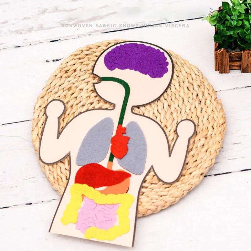 Montessori Lacing Toys – Animal Sewing Kit for Toddlers & Kids